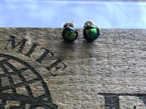 Goldish Green Dichroic Glass Post Earrings